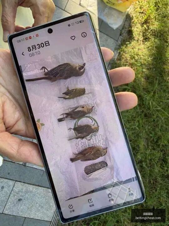 体育品牌电,竞联名鞋,时尚设计受,新葡京娱乐城官网,新葡京娱乐城App,新葡京娱乐城下载,新葡京娱乐城登录,新葡京娱乐城平台